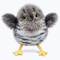Cuckoo