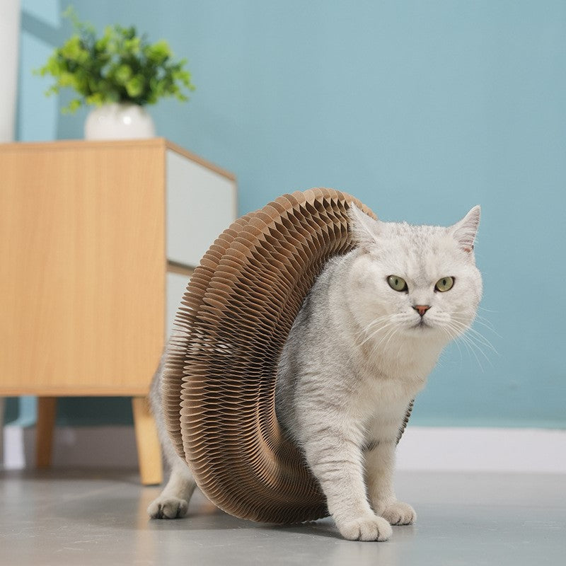 🐱Magic Accordion Cat Scratcher with Ball Adventure Interactive Toy