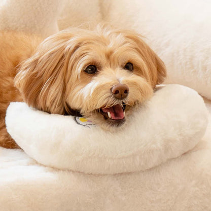 Macaron Pet Pillow