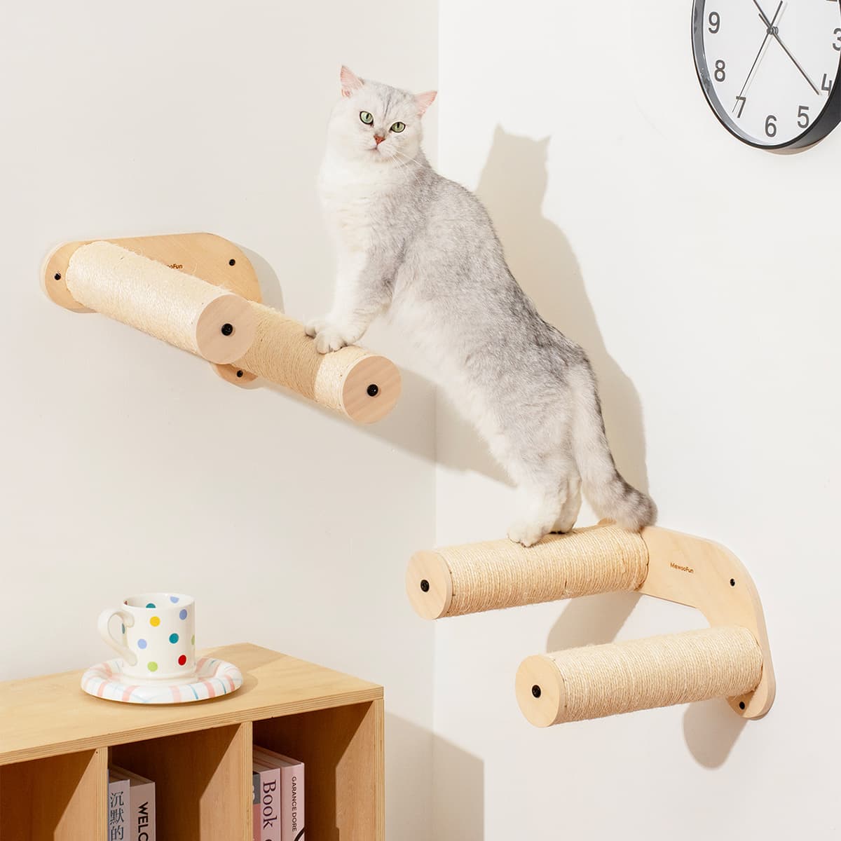 Bushwick Cat Step Double