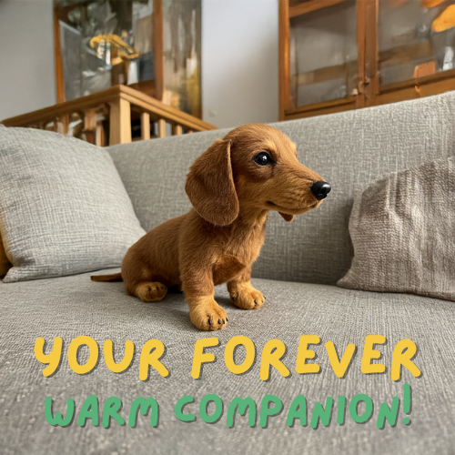 🐶Daichy™ - Your Perfect Playmate & Comforting Companion